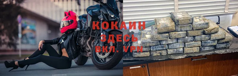 КОКАИН Fish Scale  купить   Алексеевка 